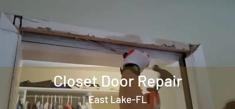  Closet Door Repair East Lake-FL
