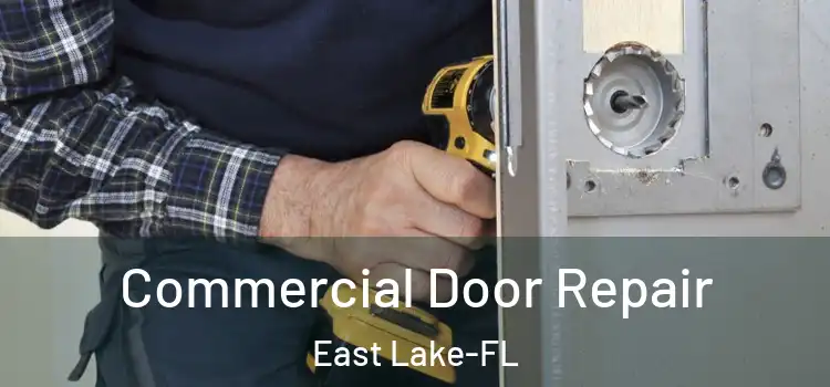  Commercial Door Repair East Lake-FL