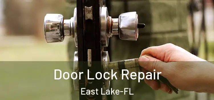 Door Lock Repair East Lake-FL