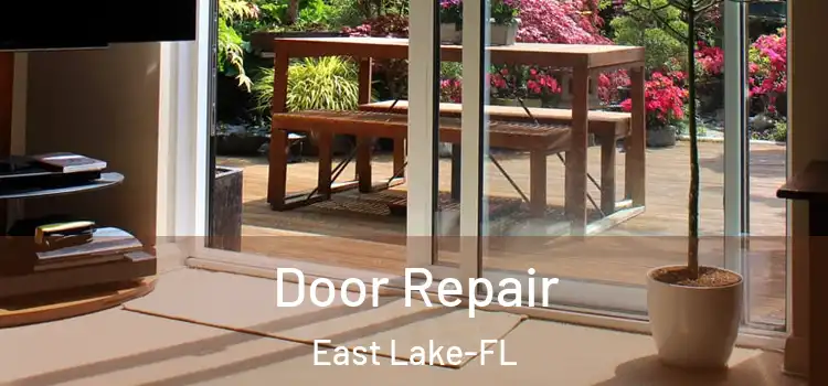  Door Repair East Lake-FL