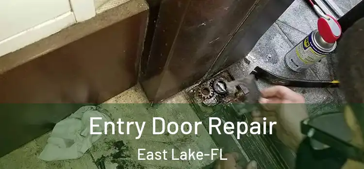 Entry Door Repair East Lake-FL