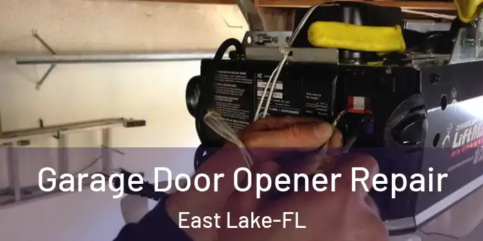 Garage Door Opener Repair East Lake-FL