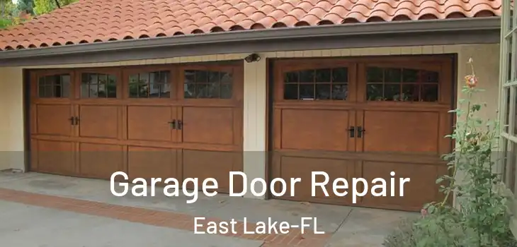 Garage Door Repair East Lake-FL