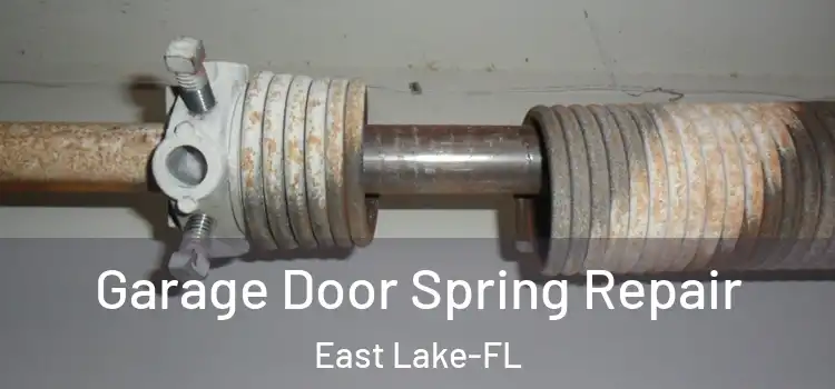  Garage Door Spring Repair East Lake-FL