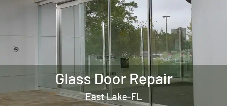  Glass Door Repair East Lake-FL