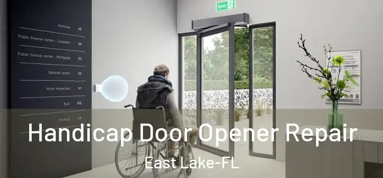 Handicap Door Opener Repair East Lake-FL