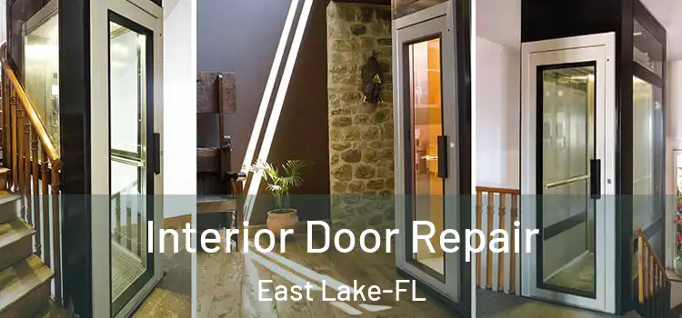 Interior Door Repair East Lake-FL