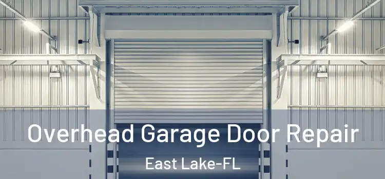 Overhead Garage Door Repair East Lake-FL