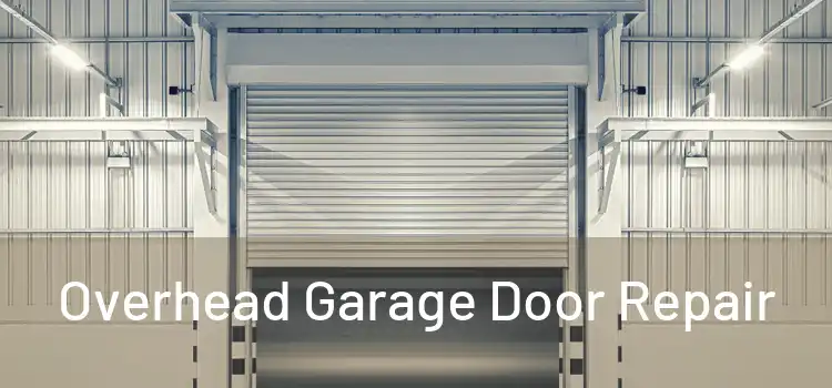  Overhead Garage Door Repair 