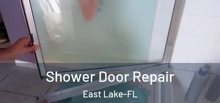 Shower Door Repair East Lake-FL