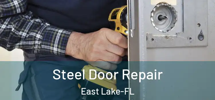 Steel Door Repair East Lake-FL