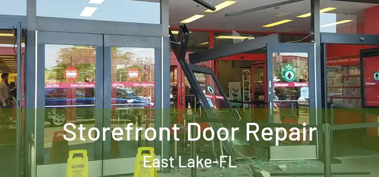 Storefront Door Repair East Lake-FL